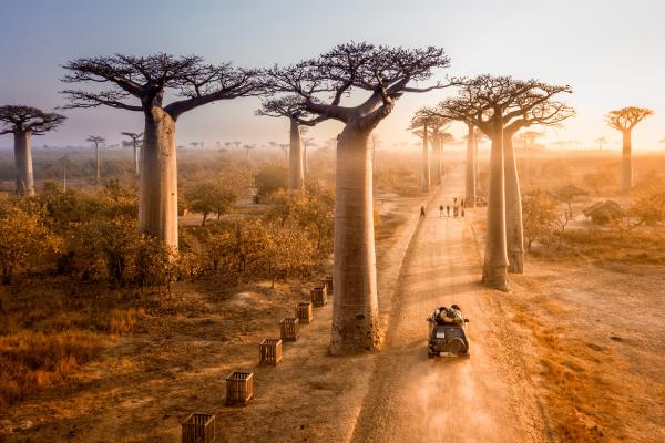 Speciale Autunno - Madagascar: tour dei parchi del sud